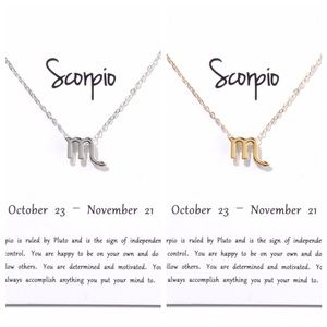 Scorpio ♏️ Zodiac Sign Necklace